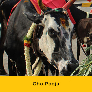 Tamil New Year Essential Package