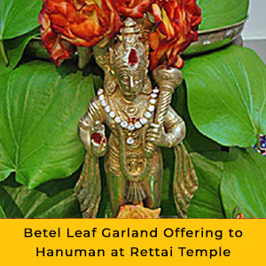 Hanuman Yearlong Enhanced Package (3 Months)