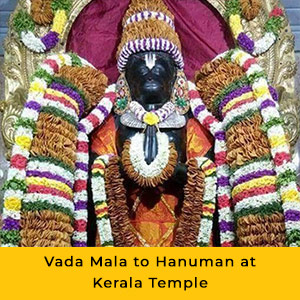 Individual Maya Anjaneya Homam Package