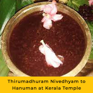 Individual Maya Anjaneya Homam Package