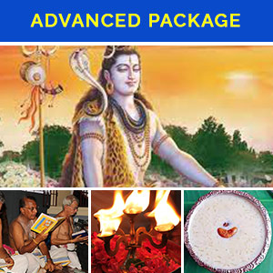 Brahmahatya Dosha Advanced Remedial Package
