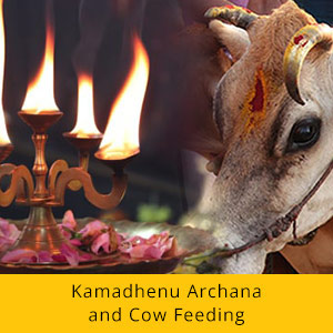 Narasimha Jayanthi Basic Package