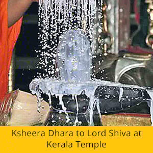 Sun-Rahu Conjunct in Aries Enhanced Package