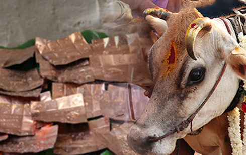 Birth Chart and Cow and Calf Engraved