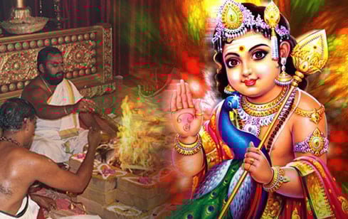 Priest Bala Muruga Homam Priest Bala Muruga Homam