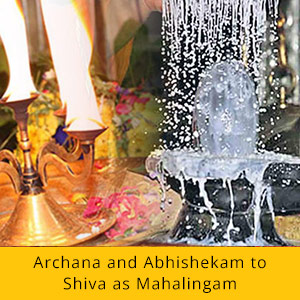 48-Day Saturn Transit Remedy Program Essential Package