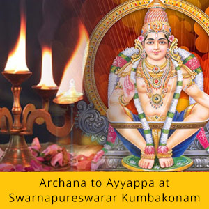 48-Day Saturn Transit Remedy Program Essential Package