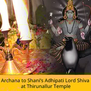 Shani Jayanti Advanced Package