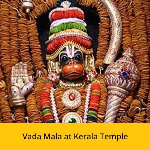 Shani Jayanti Basic Package + Group Hanuman Combo Package