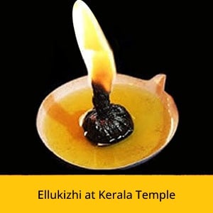 Shani Jayanti Basic Package