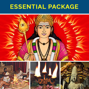 Vaikasi Visakam Essential Package