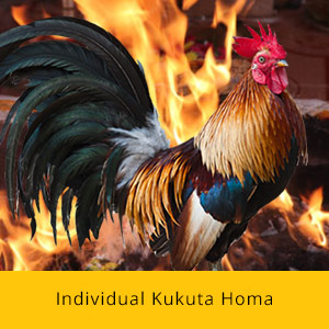 Vaikasi Visakam Advanced Package