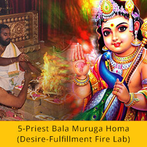 Vaikasi Visakam Advanced Package