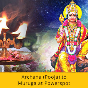 Vaikasi Visakam Advanced Package