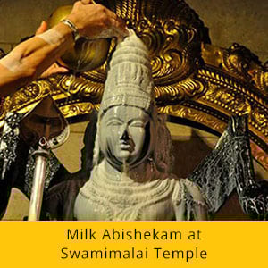 Vaikasi Visakam Essential Package