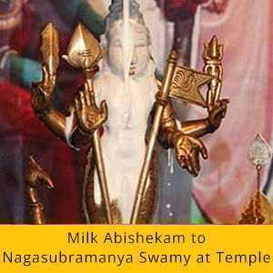 Vaikasi Visakam Essential Package