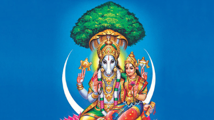 Planetary Overlord Homa