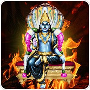 Individual Chandi Homa