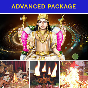 21 Days Wealth Booster Advanced Package