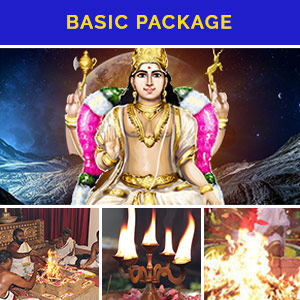 21 Days Wealth Booster Basic Package