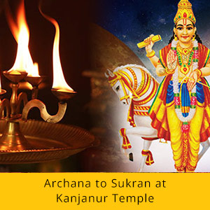 21 Days Wealth Booster Basic Package