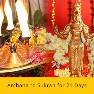 21 Days Wealth Booster Basic Package