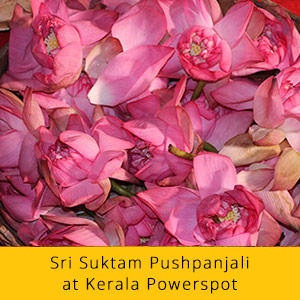 21 Days Wealth Booster Basic Package