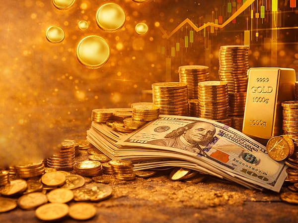 Wealth & Finance