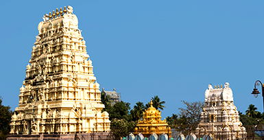 ஸ்ரீதிருப்பைஞ்சீலி நீலிவனேஸ்வரர் ஆலயம்