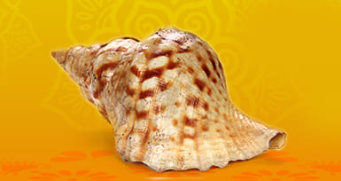 செவ்வாய் தோஷம் நிவர்த்தியாக சங்கு பூஜை