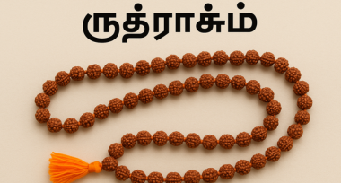 ருத்ராட்சம் : தெய்வீக மாற்றம் அளிக்கும் புனிதமான சிவ மணிகள்