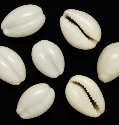 sozhi prasanam