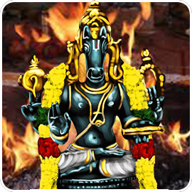 Individual Hayagriva Homa