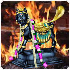 Kamadhenu Fire Lab (Homa For Material Comforts Money And Success)