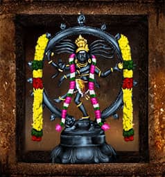 AstroVed Temple Services for Nataraja