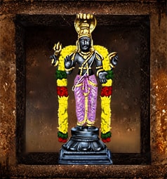 AstroVed Temple Services for Ketu