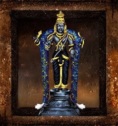 AstroVed Temple Services for Shani (Saturn)