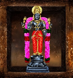 AstroVed Temple Services for Surya (Sun)