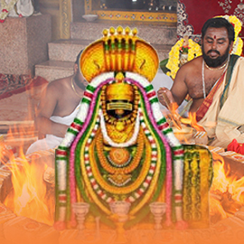 Agni Suktam Chanting and Individual Arunachaleswara Fire Lab (Homa For intelligence Prosperity And Overall Wellbeing)