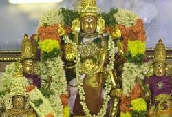 Srinivasa-Perumal-Thirukalyanam