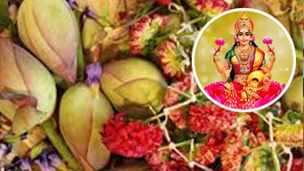 chitra-pournima-service3 veus-service