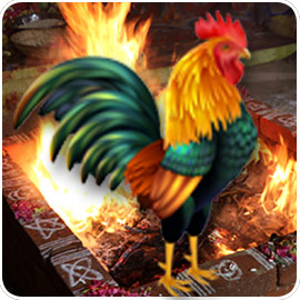 Individual Kukuta Homa (Rooster Fire Lab for Success & Removing Negativity)
