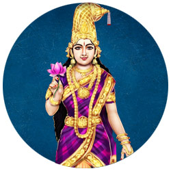 Krishni-Draupadi-rgt-img1