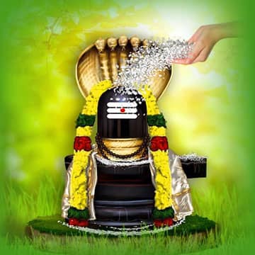 ANNA ABISHEKAM (GRAND COOKED RICE HYDRATION CEREMONY) TO SHIVA