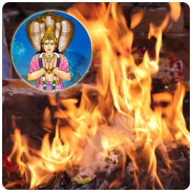 Individual Rahu Homa (Fire Lab for Rahu Planetary Blessings) at AstroVed Remedy Center