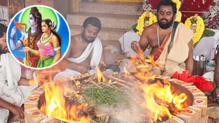 Individual-Swayamwara-Parvati-Homa veus-service