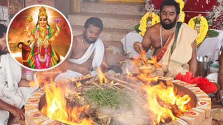 Valentines-Day-Individual-Mars-Homa veus-service