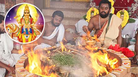 Valentines-Day-Individual-Venus-Homa veus-service