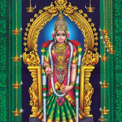 Swayamvara Parvati Homa 