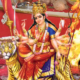 Individual Rahu Homa Individual Rahu Homa